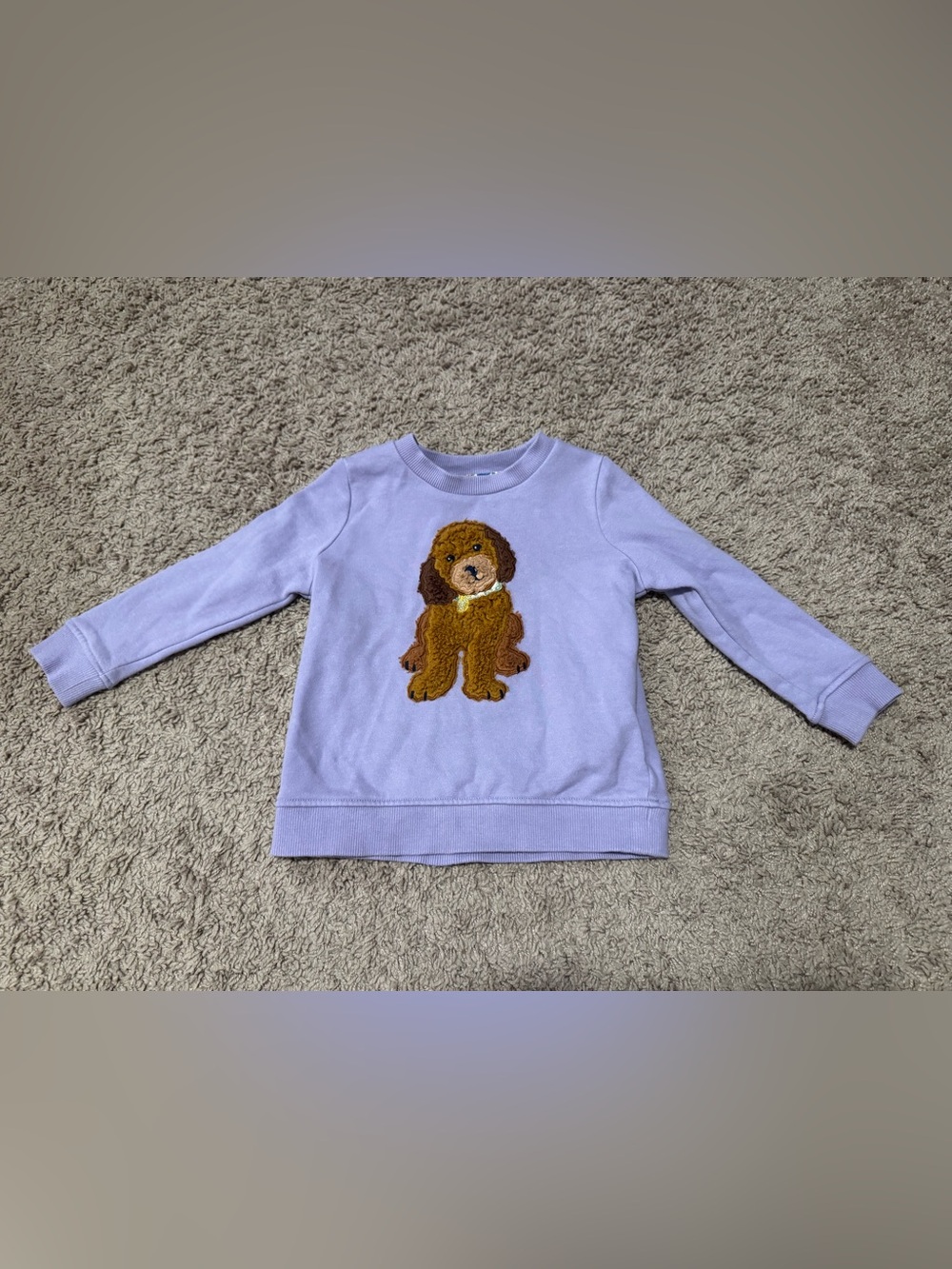 Mini Boden Sweatshirt with Goldendoodle
